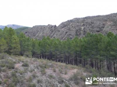 Senda Genaro - GR300 - Embalse de El Atazar -El Atazar - Robledillo de la Jara -Cervera de Buitrago